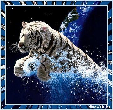 TROP BEAU !!! 