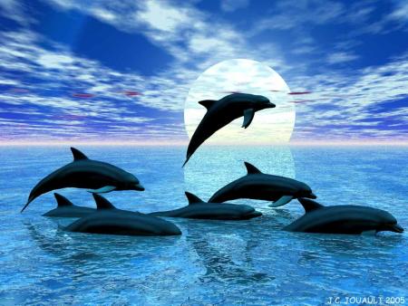 trop beau !!