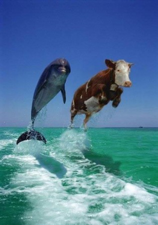 Beau couple !!! lol