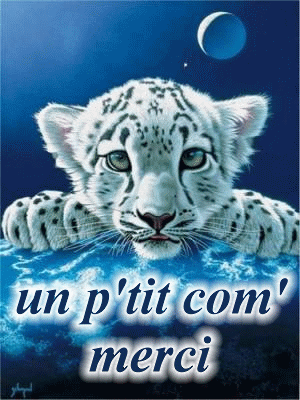  Mon profil 