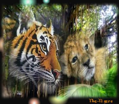 TROP BEAU !!