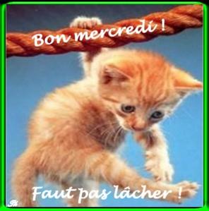laisse un comm