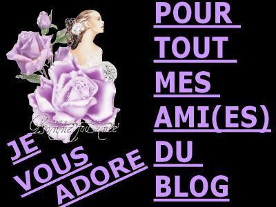 Je vous souhaite une bonne journée mes ami(e)s 