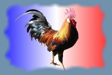 Vive la France 